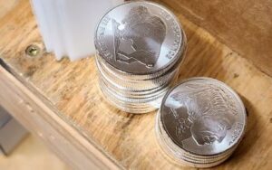 Bison Bullion Products and Services Bison Bullion Products and Services